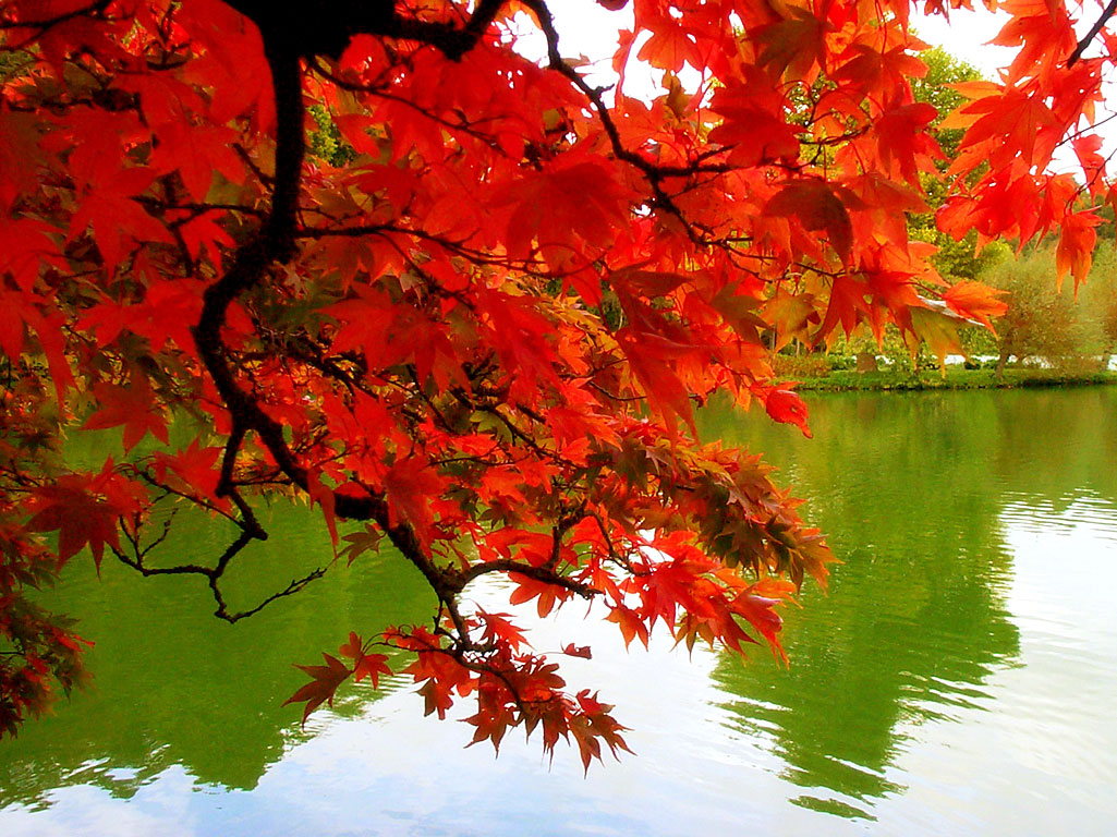 To Autumn by John Keats | Naturally Green Blog